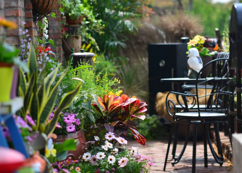 俊美琪丨做庭院的守護(hù)者，享受醉美時(shí)光！